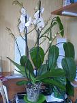     
: P5240812.jpg
: 30
:	89.6 
ID:	4755636