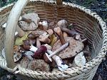     
: DSC00459.jpg
: 10
:	200.3 
ID:	4755736