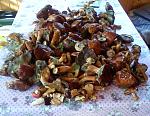     
: DSC00456.jpg
: 11
:	190.7 
ID:	4755738