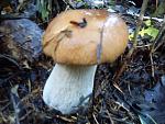     
: DSC00434.jpg
: 11
:	145.9 
ID:	4755739