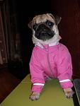     
: P1010365.jpg
: 20
:	55.0 
ID:	4757781