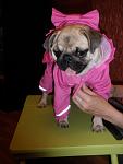     
: P1010357.jpg
: 24
:	55.5 
ID:	4757783