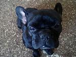     
: 31082012141.jpg
: 7
:	206.6 
ID:	4761483