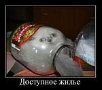     
: getImage.jpg
: 3
:	31.2 
ID:	4763462