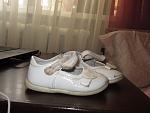     
: IMG_0572.jpg
: 7
:	82.4 
ID:	4764068