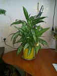     
: DSC_0012.jpg
: 27
:	84.2 
ID:	4767749