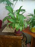     
: DSC_0015.jpg
: 32
:	96.3 
ID:	4767750