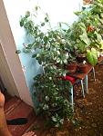     
: DSC_0023.jpg
: 25
:	126.1 
ID:	4767752