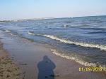     
: 100_5880.jpg
: 18
:	159.6 
ID:	4768069