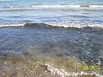     
: 100_5879.jpg
: 21
:	210.1 
ID:	4768070