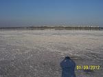     
: 100_5888.jpg
: 19
:	145.6 
ID:	4768075