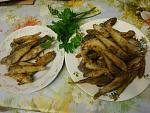     
: DSC06198.jpg
: 16
:	143.3 
ID:	4771092