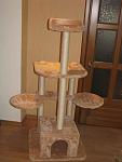     
: IMG_4513.jpg
: 73
:	71.3 
ID:	4771352