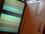     
: IMG_0360.jpg
: 7
:	105.1 
ID:	4773528