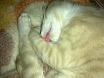     
: 02092012272.jpg
: 10
:	135.7 
ID:	4781427