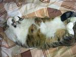     
: 10052012035.jpg
: 11
:	134.9 
ID:	4781475