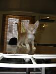    
: de014be117c8.jpg
: 25
:	30.0 
ID:	4782088