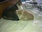     
: 05092012276.jpg
: 16
:	145.1 
ID:	4786989