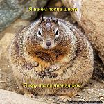     
: 4G.jpg
: 7
:	89.2 
ID:	4789767