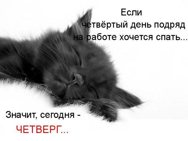     
: x_7ec08160.jpg
: 2
:	50.6 
ID:	4790416