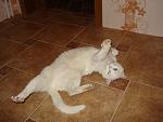     
: DSC01961.JPG
: 7
:	140.9 
ID:	4790948