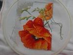     
: 2012-09-06 12.29.12.jpg
: 14
:	83.7 
ID:	4791554