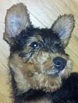     
: 20120906_140534.jpg
: 14
:	118.2 
ID:	4792012