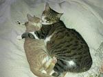     
: 06092012288.jpg
: 5
:	156.3 
ID:	4792658