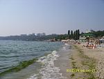     
: SS855855.jpg
: 11
:	125.8 
ID:	4793416