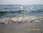     
: SS855848.jpg
: 11
:	192.6 
ID:	4793417
