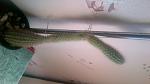     
: IMG_00000436.jpg
: 10
:	85.4 
ID:	4793791