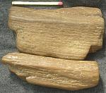     
: woodSept04.jpg
: 13
:	184.4 
ID:	4794163