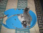     
: IMG_7328.jpg
: 15
:	56.8 
ID:	4794451