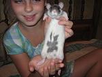     
: IMG_7329.jpg
: 15
:	36.3 
ID:	4794454