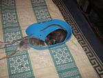     
: IMG_7331.jpg
: 8
:	60.5 
ID:	4794468
