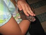     
: IMG_7336.jpg
: 12
:	41.0 
ID:	4794474