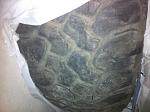     
: IMG_1601.jpg
: 18
:	85.7 
ID:	4796976