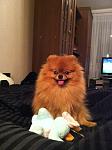     
: z_81a27b93.jpg
: 85
:	141.8 
ID:	4798452