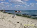     
: SS855881.jpg
: 11
:	163.7 
ID:	4798779