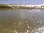     
: Фото0613.jpg
: 11
:	149.0 
ID:	4801793
