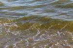     
: IMG_1836.jpg
: 13
:	165.7 
ID:	4803717