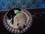     
: P010912_15.42.jpg
: 10
:	198.5 
ID:	4804024