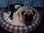    
: P010912_15.43_[02].jpg
: 11
:	200.8 
ID:	4804028