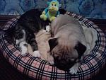     
: P010912_15.44.jpg
: 9
:	205.0 
ID:	4804030