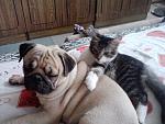     
: P110812_12.32_[02].jpg
: 15
:	215.2 
ID:	4804033