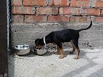     
: Фото-0281.jpg
: 38
:	120.5 
ID:	4807215