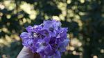     
: DSC08713.jpg
: 7
:	74.2 
ID:	4811207