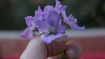     
: DSC08714.jpg
: 13
:	47.0 
ID:	4811209