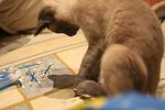     
: z_5cda8826.jpg
: 4
:	72.7 
ID:	4813708