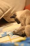     
: IMG_5454.jpg
: 6
:	51.1 
ID:	4813711